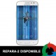 Cambio Display Samsung Galaxy Alpha Azul