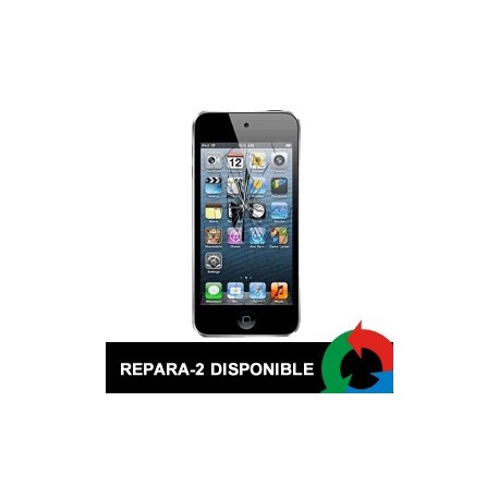 Cambio Display Ipod Touch 5 Negro