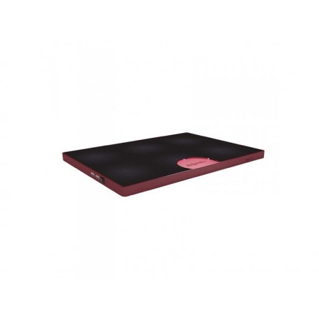 LAPTOP COOLER PAD 2 FAN/2USB RED APPROX